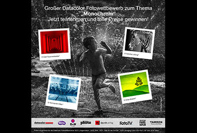 Teaser Datacolor Fotowettbewerb