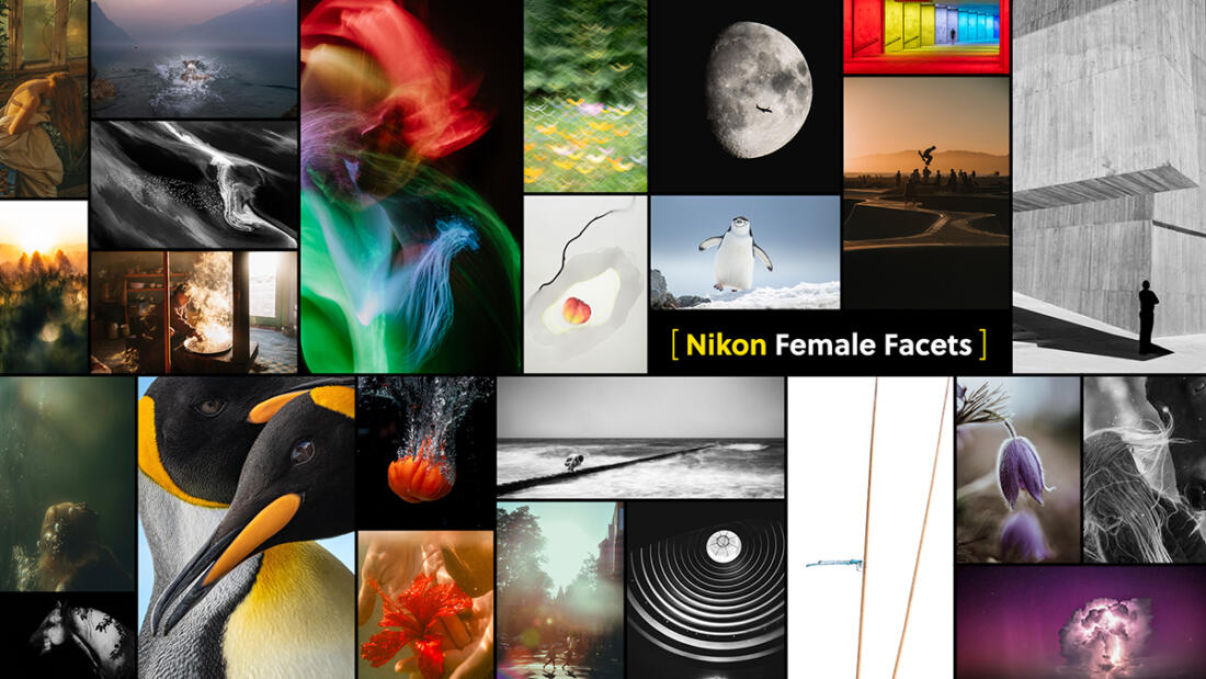 Nikon Female Facets